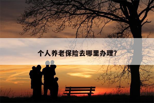 个人养老保险去哪里办理?