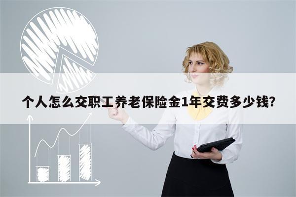 个人怎么交职工养老保险金1年交费多少钱?