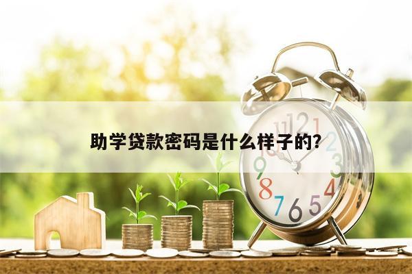 助学贷款密码是什么样子的？
