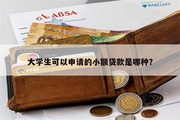 大学生可以申请的小额贷款是哪种？