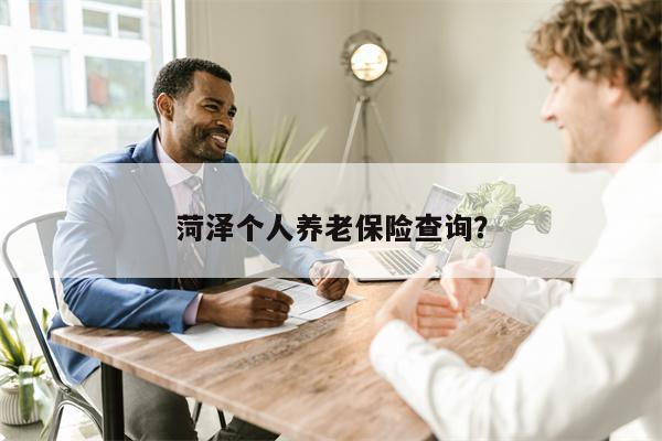 菏泽个人养老保险查询?