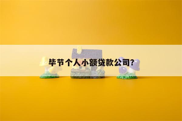 毕节个人小额贷款公司?