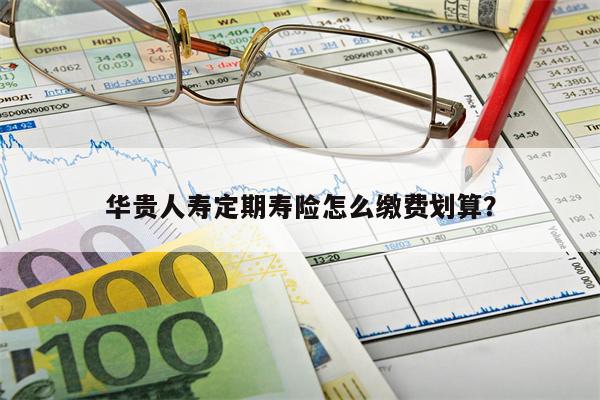 华贵人寿定期寿险怎么缴费划算?