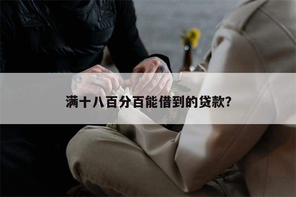 满十八百分百能借到的贷款?