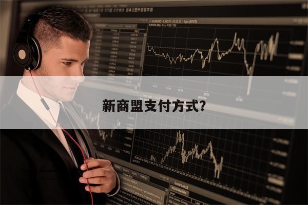 新商盟支付方式？