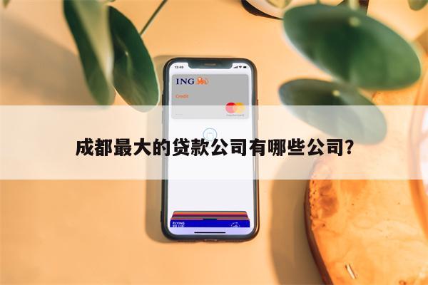 成都最大的贷款公司有哪些公司?