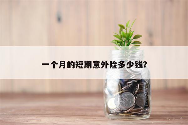 一个月的短期意外险多少钱?