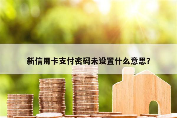新信用卡支付密码未设置什么意思?