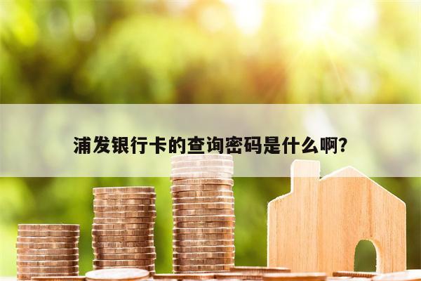 浦发银行卡的查询密码是什么啊?
