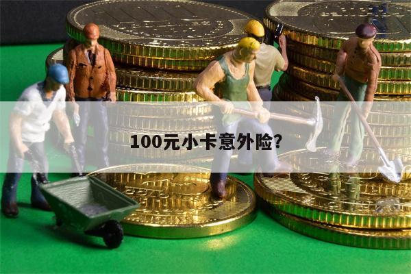 100元小卡意外险?