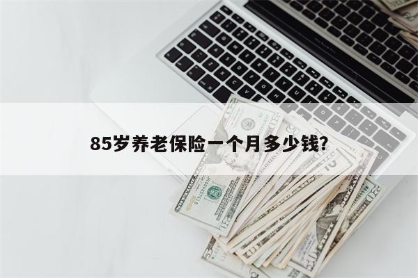 85岁养老保险一个月多少钱?
