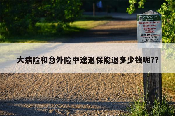 大病险和意外险中途退保能退多少钱呢??