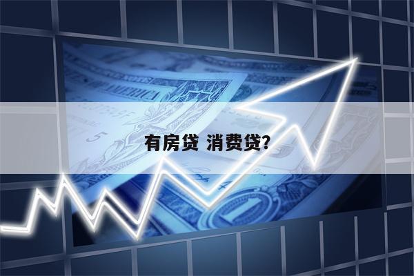 有房贷 消费贷?