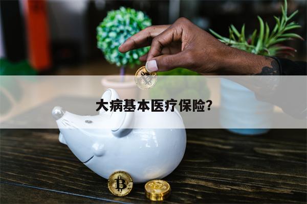 大病基本医疗保险?
