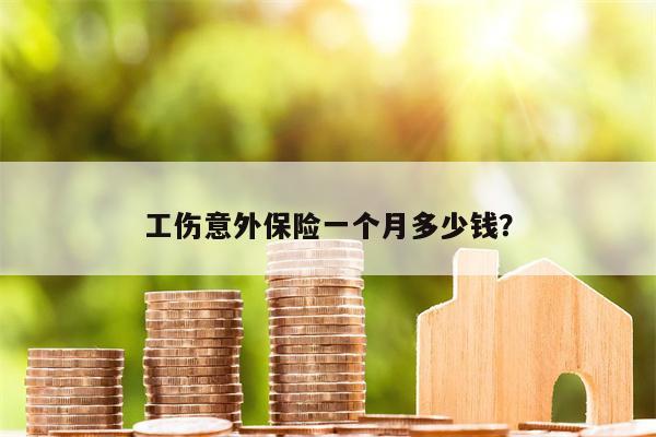工伤意外保险一个月多少钱?