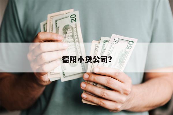 德阳小贷公司?