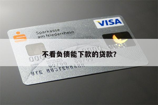 不看负债能下款的贷款?