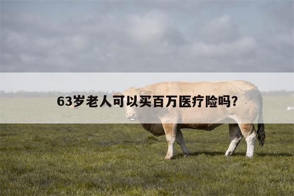 63岁老人可以买百万医疗险吗?