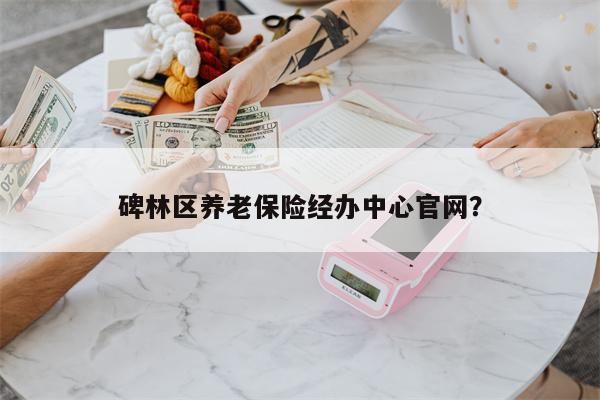 碑林区养老保险经办中心官网?