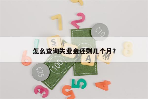 怎么查询失业金还剩几个月?