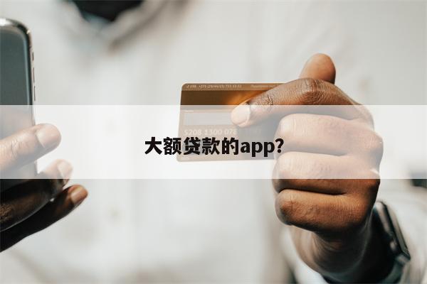 大额贷款的app?