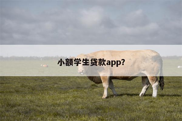 小额学生贷款app？