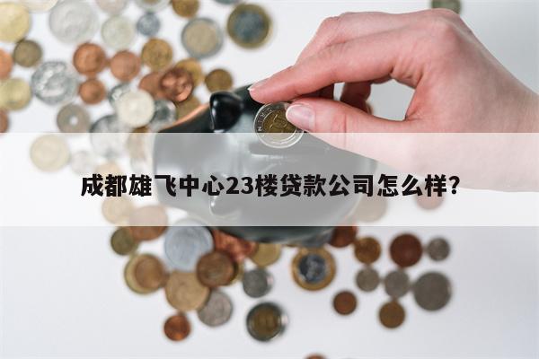 成都雄飞中心23楼贷款公司怎么样?