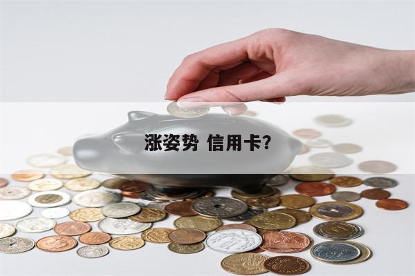涨姿势 信用卡?