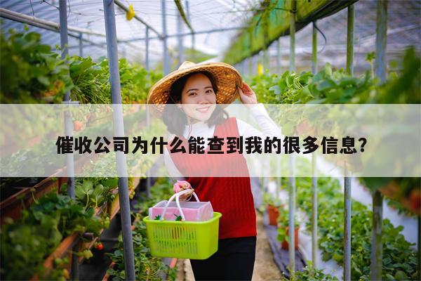 催收公司为什么能查到我的很多信息?