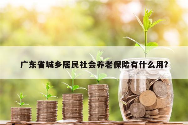 广东省城乡居民社会养老保险有什么用?