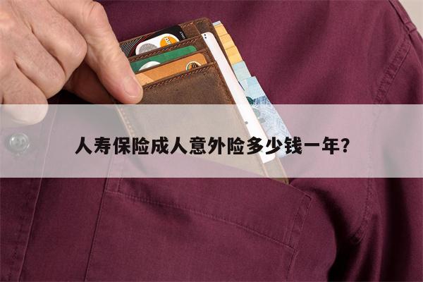 人寿保险成人意外险多少钱一年?