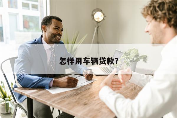 怎样用车辆贷款?