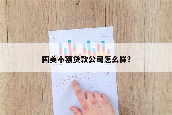 国美小额贷款公司怎么样?