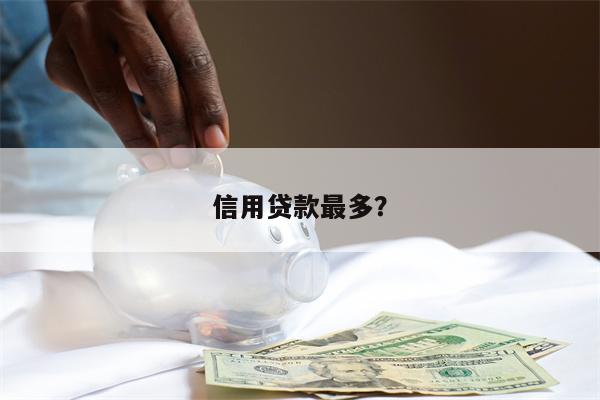 信用贷款最多?
