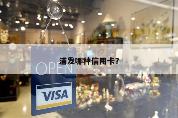 浦发哪种信用卡?