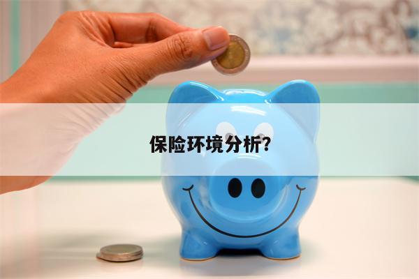 保险环境分析?
