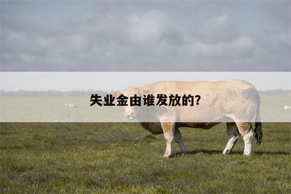 失业金由谁发放的?