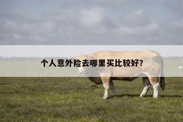 个人意外险去哪里买比较好?