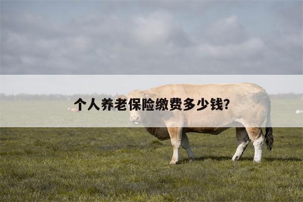 个人养老保险缴费多少钱?