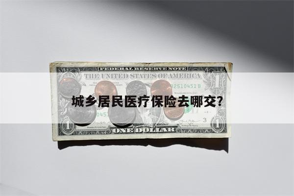 城乡居民医疗保险去哪交?