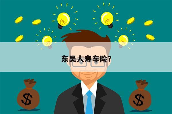 东吴人寿车险?