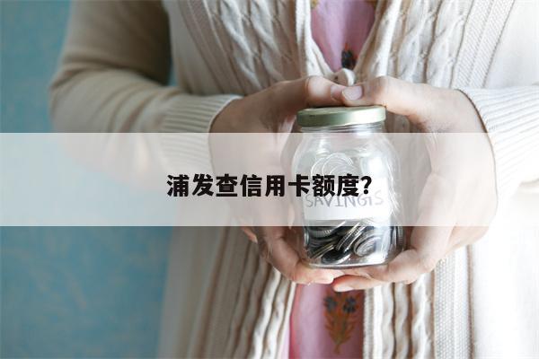 浦发查信用卡额度?
