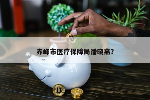 赤峰市医疗保障局潘晓燕？