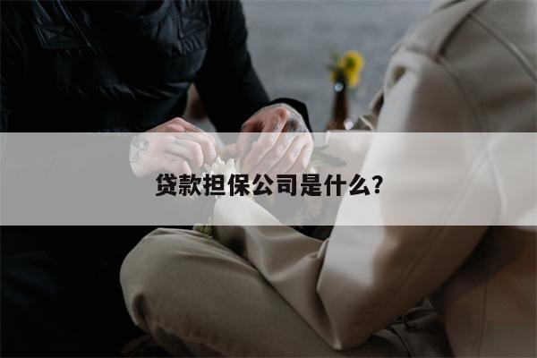 贷款担保公司是什么?
