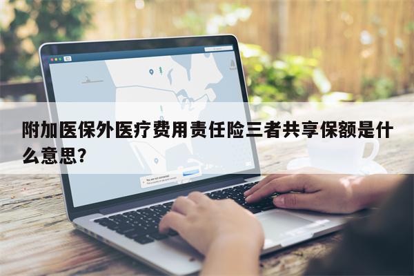 附加医保外医疗费用责任险三者共享保额是什么意思?