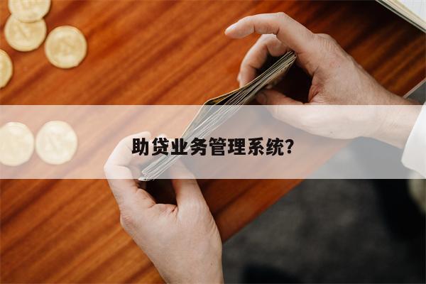 助贷业务管理系统?