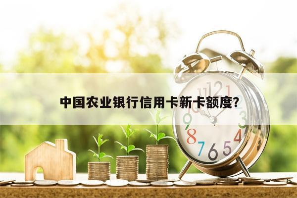 中国农业银行信用卡新卡额度?