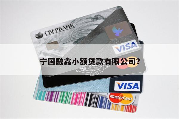 宁国融鑫小额贷款有限公司?