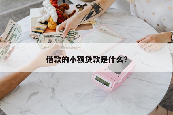 借款的小额贷款是什么?