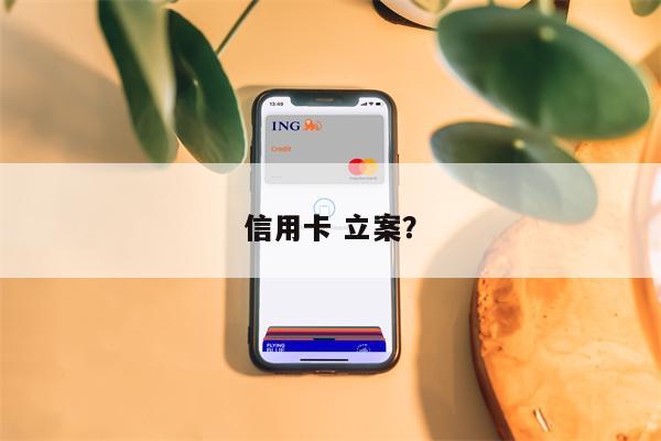 信用卡 立案?